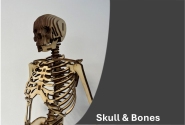 Scull and Bones